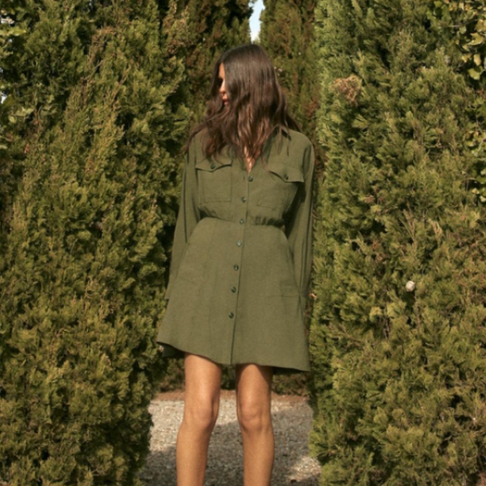 Zara Utility Green Dress